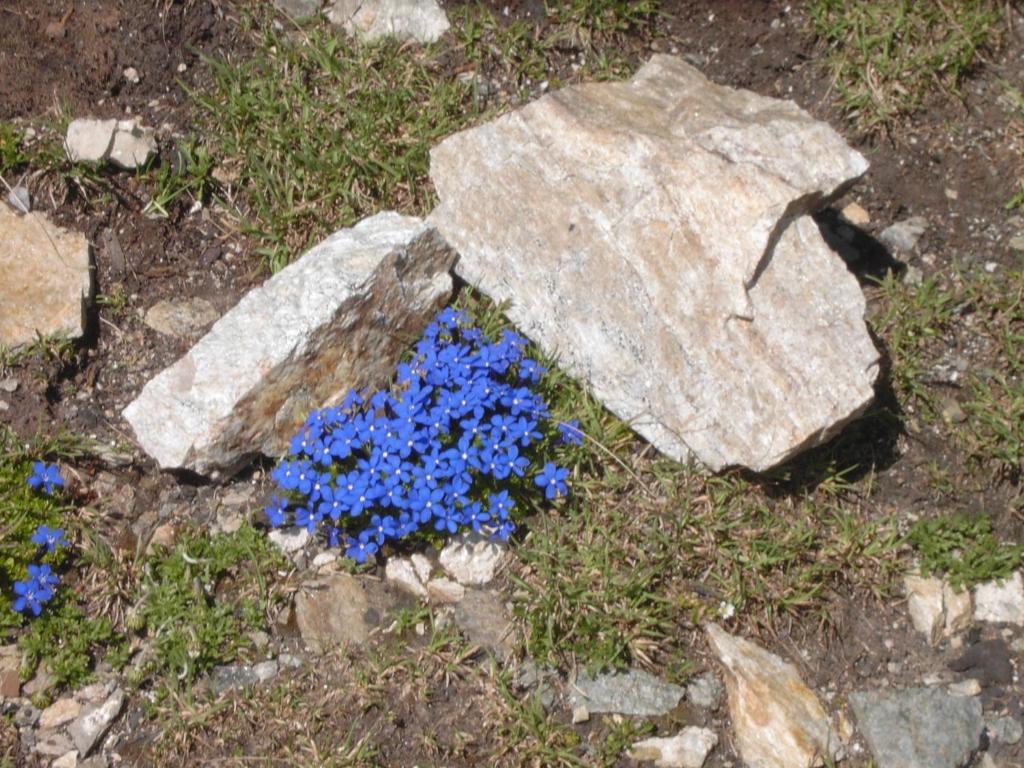 מלון מעבר סטלביו Rifugio Garibaldi מראה חיצוני תמונה